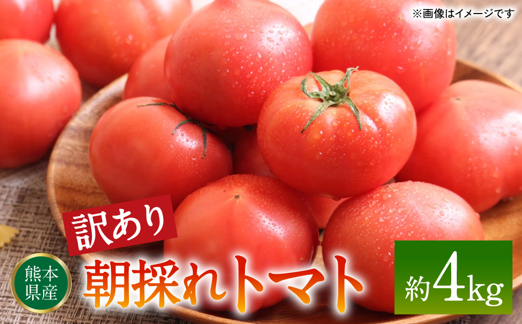 【訳あり】朝採れトマト 約4kg 熊本県 八代市産