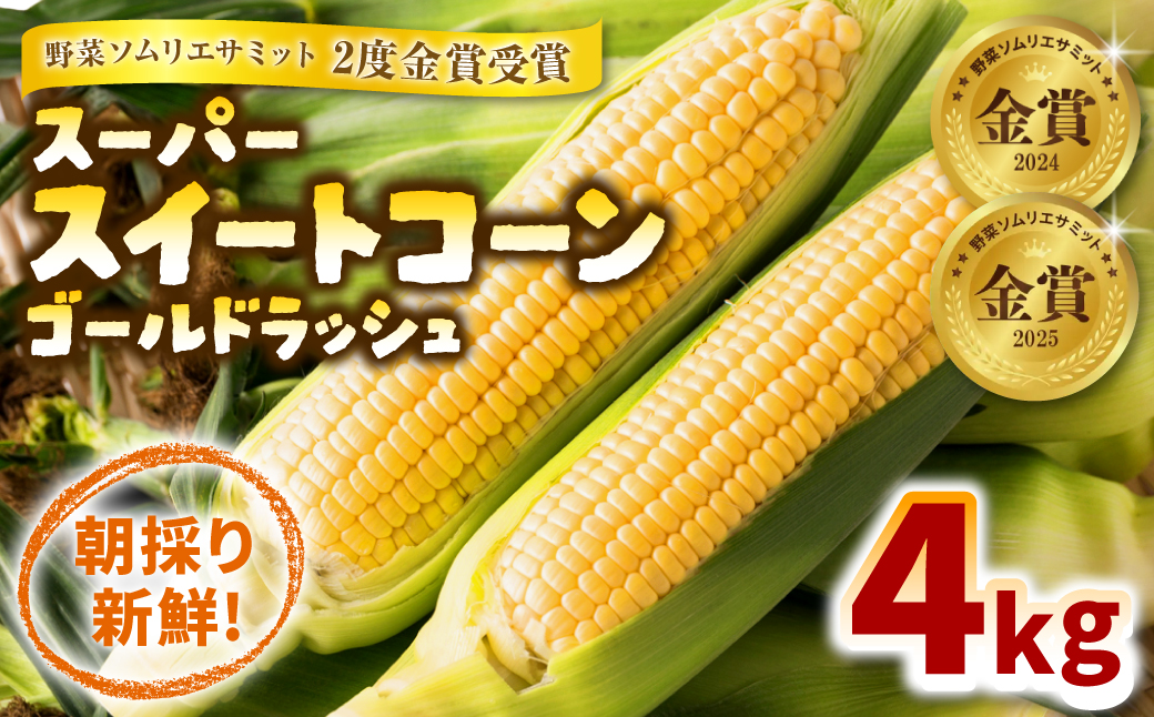 【先行予約】 熊本県八代市産 スーパースイートコーン ゴールドラッシュ 4kg 野菜ソムリエサミット 2年連続金賞受賞 スイートコーン とうもろこし コーン 朝採り 高糖度 【2026年5月上旬より順次発送】
