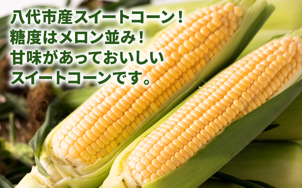 【期間限定】7月10日まで！熊本県八代市産 スイートコーン ゴールドラッシュ 4kg とうもろこし 朝採り 高糖度