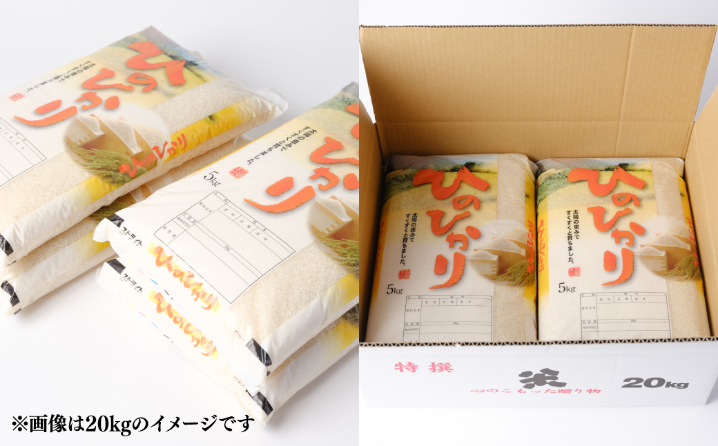 八代市産 ヒノヒカリ 15kg (5kg×3袋) 令和5年産 米 熊本 送料無料