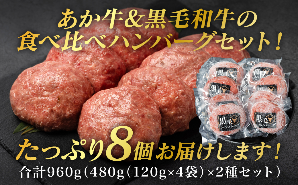 食べ比べハンバーグセット（あか牛ハンバーグ＆黒毛和牛ハンバーグ）