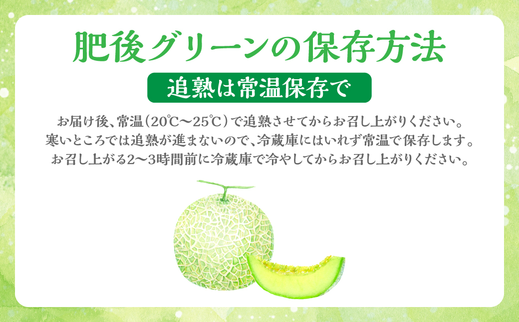 【先行予約】 八代産フルーツ☆肥後グリーンメロン(2玉) 【2024年5月下旬より発送】