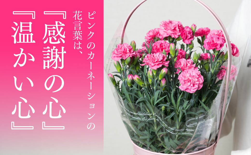 ãå
è¡äºçŽãã2026幎5æ7æ¥ïœ8æ¥çºéããããã«ãŒããŒã·ã§ã³ ãã³ã¯ 5å·é¢ ã«ãŽä»ã ã«ãŒããŒã·ã§ã³ è± æ¯ã®æ¥ ãã¬ãŒã³ã ã®ãã èŽãç© çæ¬ç å
«ä»£åž