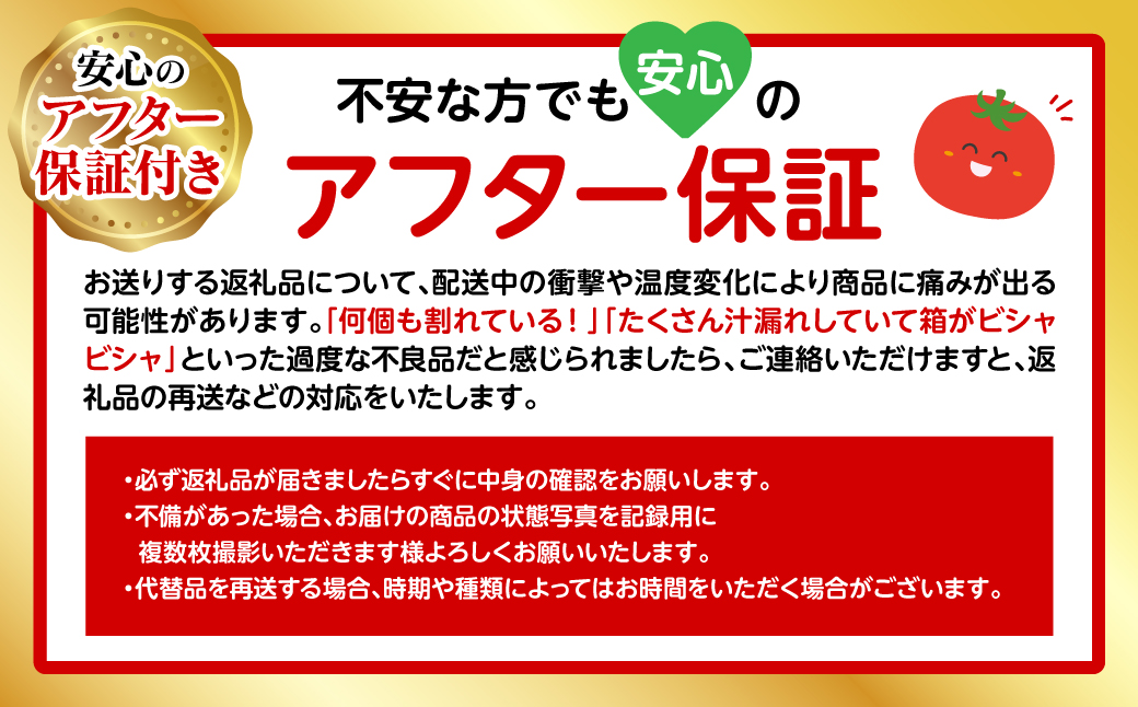 【先行予約】厳選ミニトマト 1.8kgトマト 野菜 厳選  やさい サラダ 甘い【2024年12月上旬より順次発送】