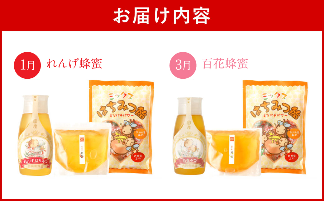 【定期便 年6回】ポリチューブ蜂蜜＆詰め替え袋+蜂蜜あめ袋セット