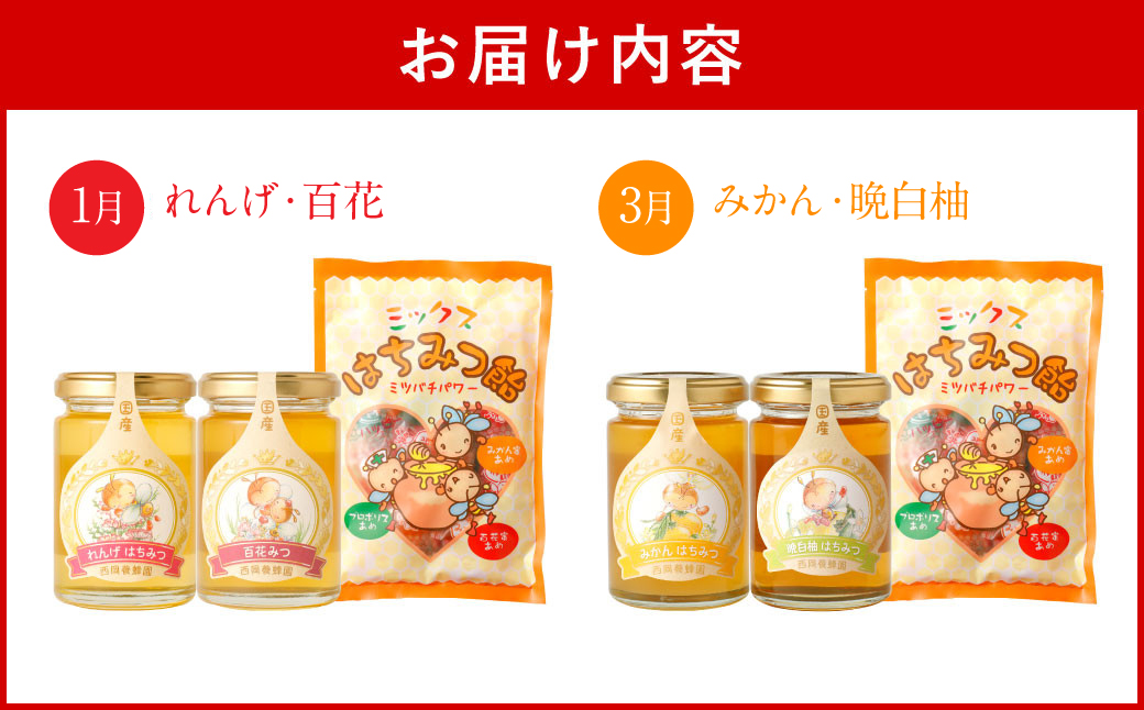 【定期便 年6回】蜂蜜165g×12種類が味わえる+蜂蜜あめ袋