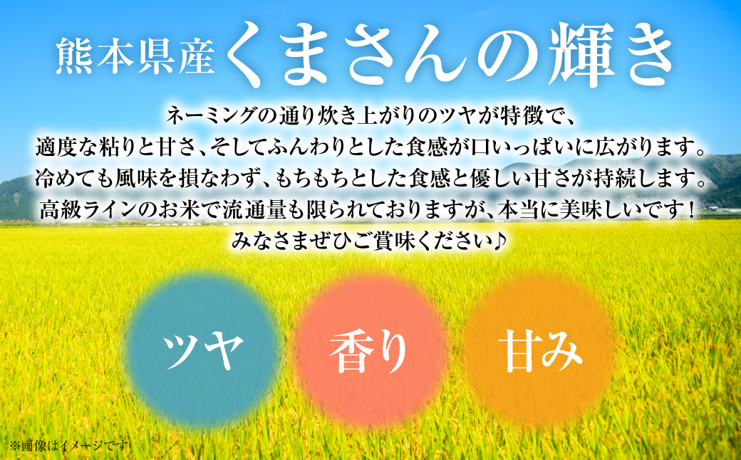 【令和6年産】 ≪新米≫  熊本県産 くまさんの輝き10kg （10kg×1袋） オリジナルパッケージ