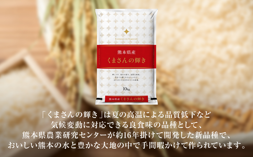 【令和6年産】 ≪新米≫  熊本県産 くまさんの輝き10kg （10kg×1袋） オリジナルパッケージ