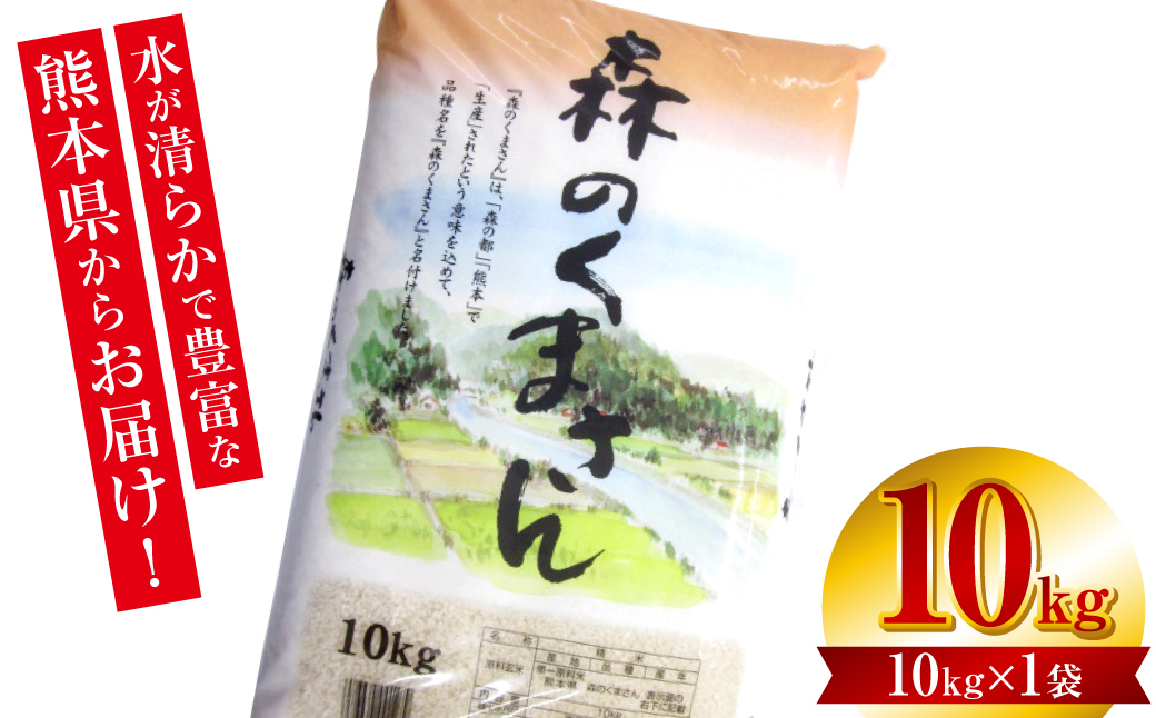 【令和5年産】 森のくまさん10kg（10kg×1袋）お米ひとすじ八代食糧！ オリジナルパッケージ