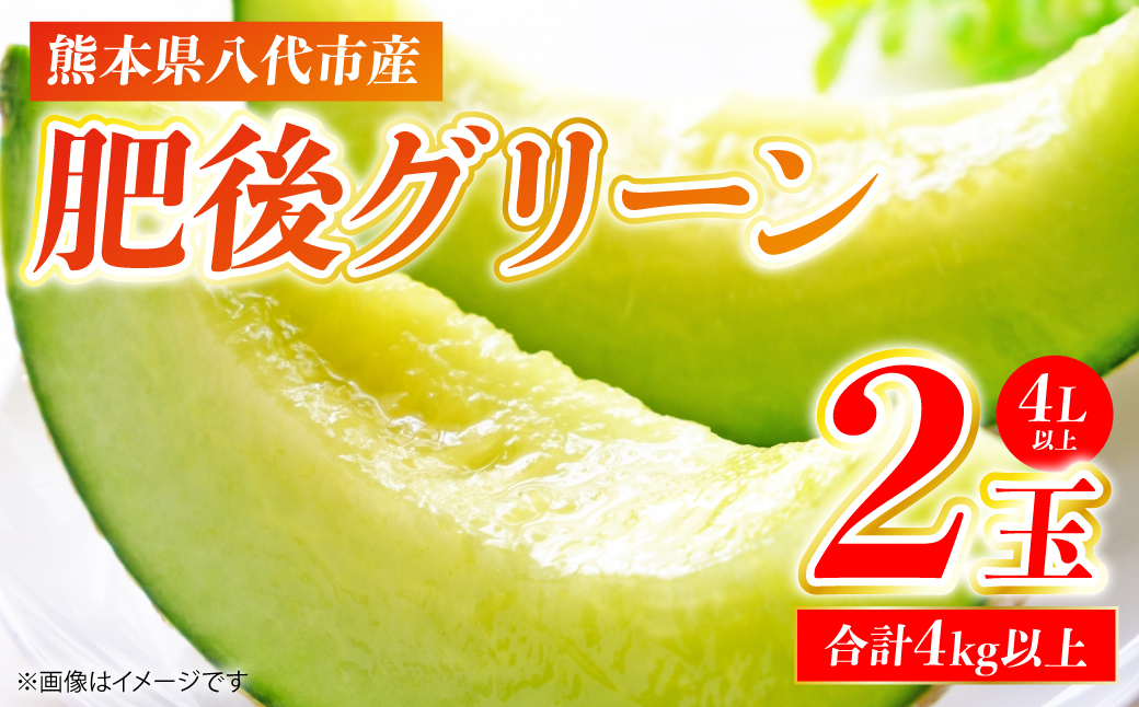 肥後グリーン 2玉 4L以上（合計4kg以上）メロン 果物 果実 くだもの フルーツ 熊本県 八代市