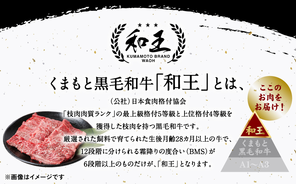 極和王シリーズ くまもと黒毛和牛 赤身カルビ焼肉 500g 熊本県産 牛肉