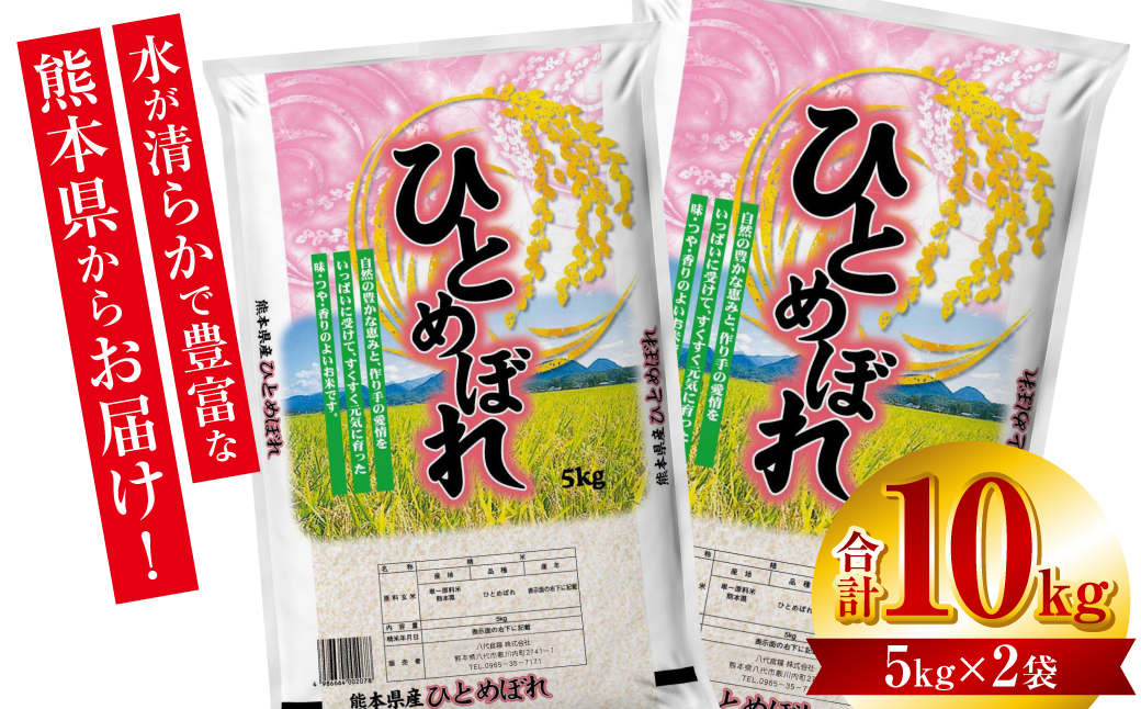 【先行予約】【令和6年産】≪新米≫ 熊本県産 ひとめぼれ 10kg（5kg×2袋） お米ひとすじ八代食糧！ 【2024年9月上旬より順次発送】