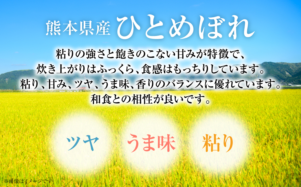 【先行予約】【令和6年産】≪新米≫ 熊本県産 ひとめぼれ 10kg（5kg×2袋） お米ひとすじ八代食糧！ 【2024年9月上旬より順次発送】