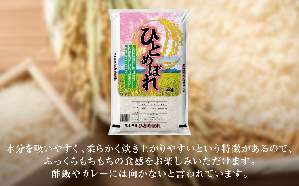 【先行予約】【令和6年産】≪新米≫ 熊本県産 ひとめぼれ 10kg（5kg×2袋） お米ひとすじ八代食糧！ 【2024年9月上旬より順次発送】