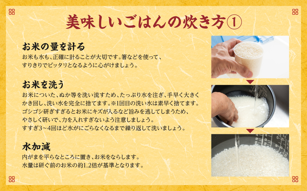 【先行予約】【令和6年産】≪新米≫ 熊本県産 ひとめぼれ 10kg（5kg×2袋） お米ひとすじ八代食糧！ 【2024年9月上旬より順次発送】