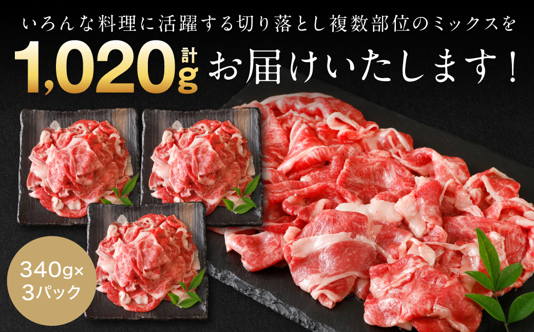 【訳あり】 くまもと黒毛和牛 切り落とし 1020g  340g×3 （ 黒毛和牛 牛肉 和牛 ブランド牛 ブランド和牛 訳あり牛肉 ブランド牛肉 牛肉切り落とし ブランド牛切り落とし 小分け 熊本県産 くまもと 国産 人気 毎月数量限定 ）