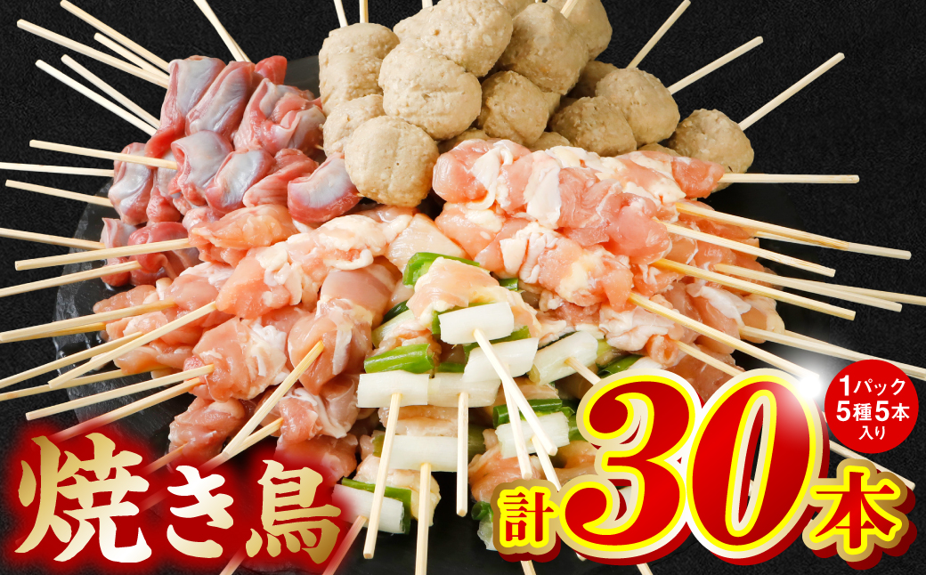 やきとり5種 30本セット お試しサイズ！ 国産 鶏肉 串 九州産 冷凍 小分け ねぎま とろ もも 砂肝 つくね