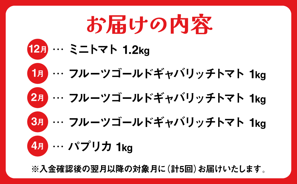 【先行予約】【定期便5回】八代市産 農産物おすすめ定期便 宮島農園 トマト パプリカ 野菜【2024年12月上旬より順次発送】