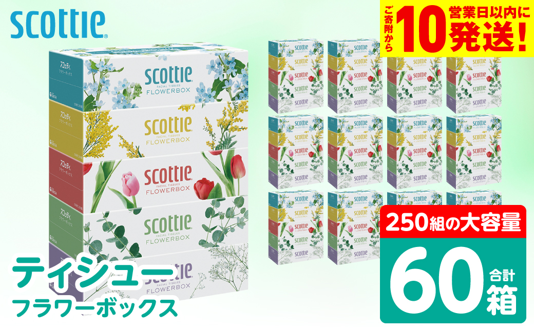 【スコッティ】 ティシュー フラワーボックス 250組 60箱 ティッシュ 日用品 生活必需品 防災備蓄 ストック 備蓄 新生活 防災 消耗品 生活用品 日用消耗品 箱ティッシュ