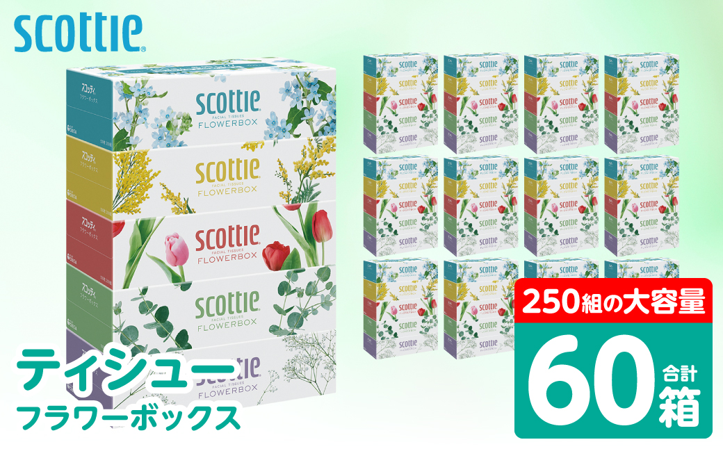 【スコッティ】 ティシュー フラワーボックス 250組 60箱 ティッシュ 日用品 生活必需品 防災備蓄 ストック 備蓄 新生活 防災 消耗品 生活用品 日用消耗品 箱ティッシュ