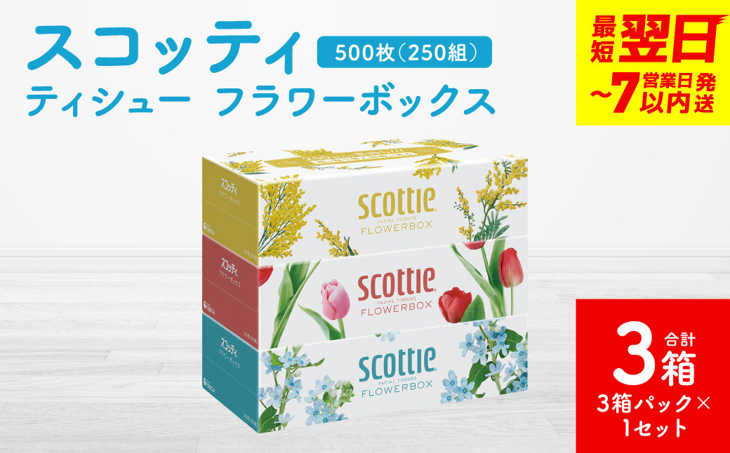 ＼スピード発送／【スコッティ】ティシュー フラワーボックス 250組 3箱パック×1セット 合計3箱 ティッシュ 日用品 生活必需品 スピード発送 【7営業日以内に発送】