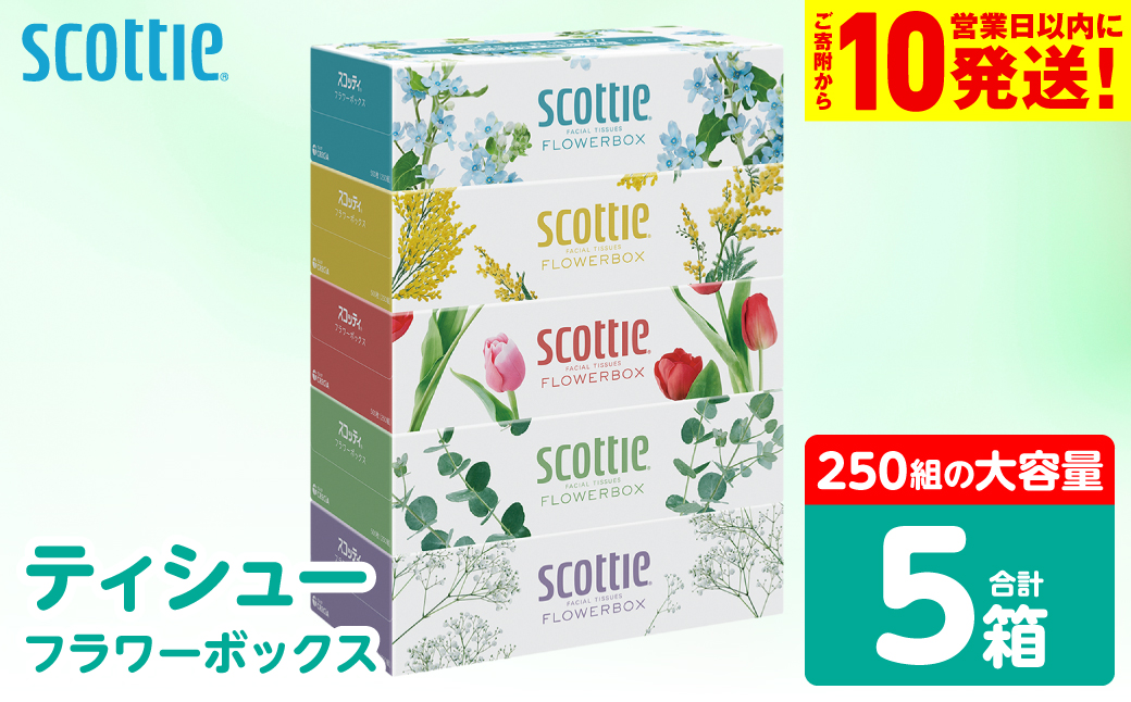 【スコッティ】 ティシュー フラワーボックス 250組 5箱 ティッシュ 日用品 生活必需品 防災備蓄 ストック 備蓄 新生活 防災 消耗品 生活用品 日用消耗品 箱ティッシュ