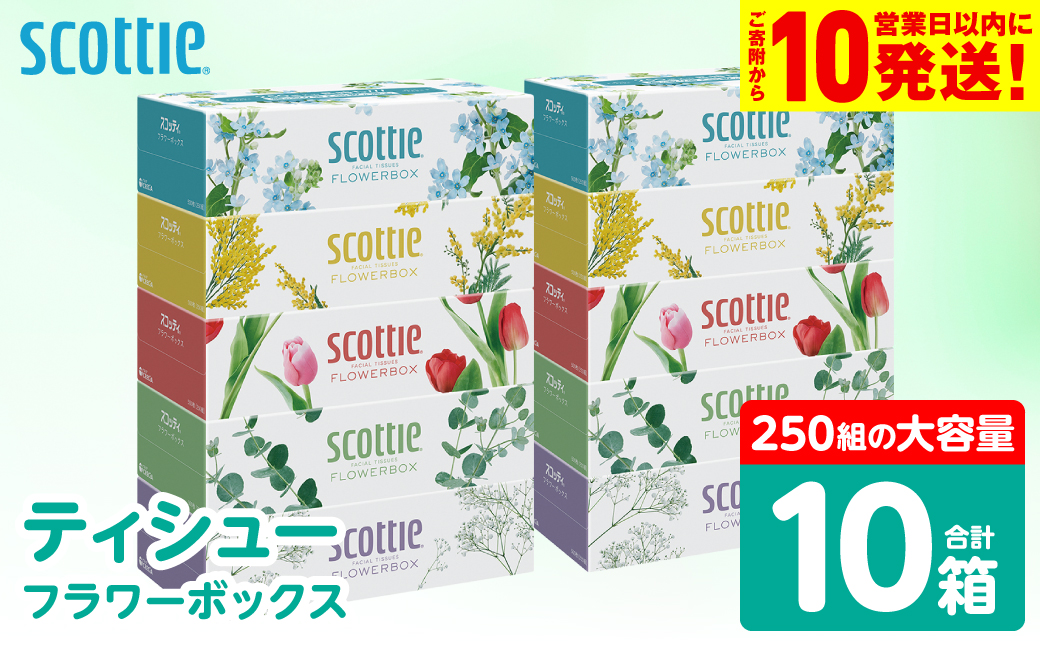 【スコッティ】 ティシュー フラワーボックス 250組 10箱 ティッシュ 日用品 生活必需品 防災備蓄 ストック 備蓄 新生活 防災 消耗品 生活用品 日用消耗品 箱ティッシュ