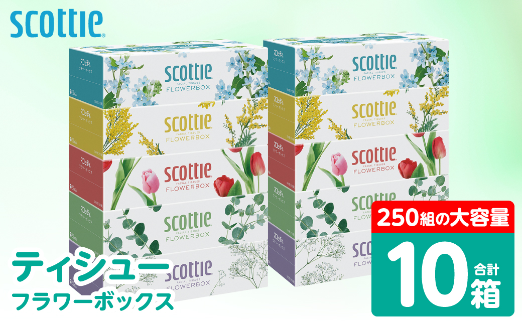 【スコッティ】 ティシュー フラワーボックス 250組 10箱 ティッシュ 日用品 生活必需品 防災備蓄 ストック 備蓄 新生活 防災 消耗品 生活用品 日用消耗品 箱ティッシュ