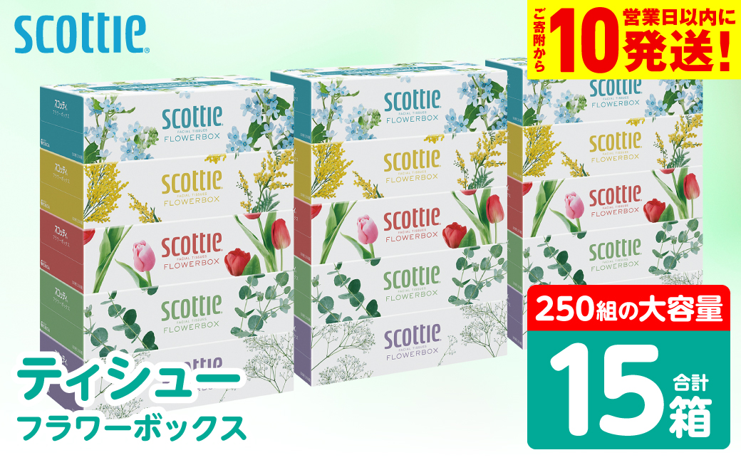 【スコッティ】 ティシュー フラワーボックス 250組 15箱 ティッシュ 日用品 生活必需品 消耗品 紙 まとめ買い 備蓄 防災備蓄 デザインボックス ストック 新生活 防災 生活用品 日用消耗品 箱ティッシュ