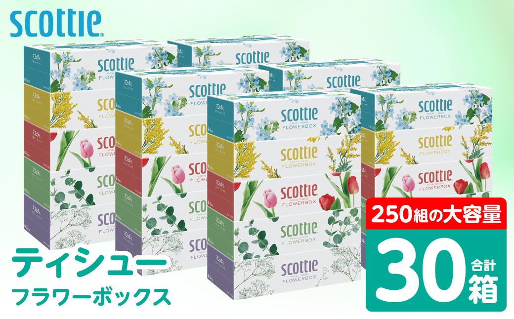【スコッティ】 ティシュー フラワーボックス 250組 30箱 ティッシュ 日用品 生活必需品 消耗品 紙 まとめ買い 備蓄 防災備蓄 デザインボックス ストック 新生活 防災 生活用品 日用消耗品 箱ティッシュ