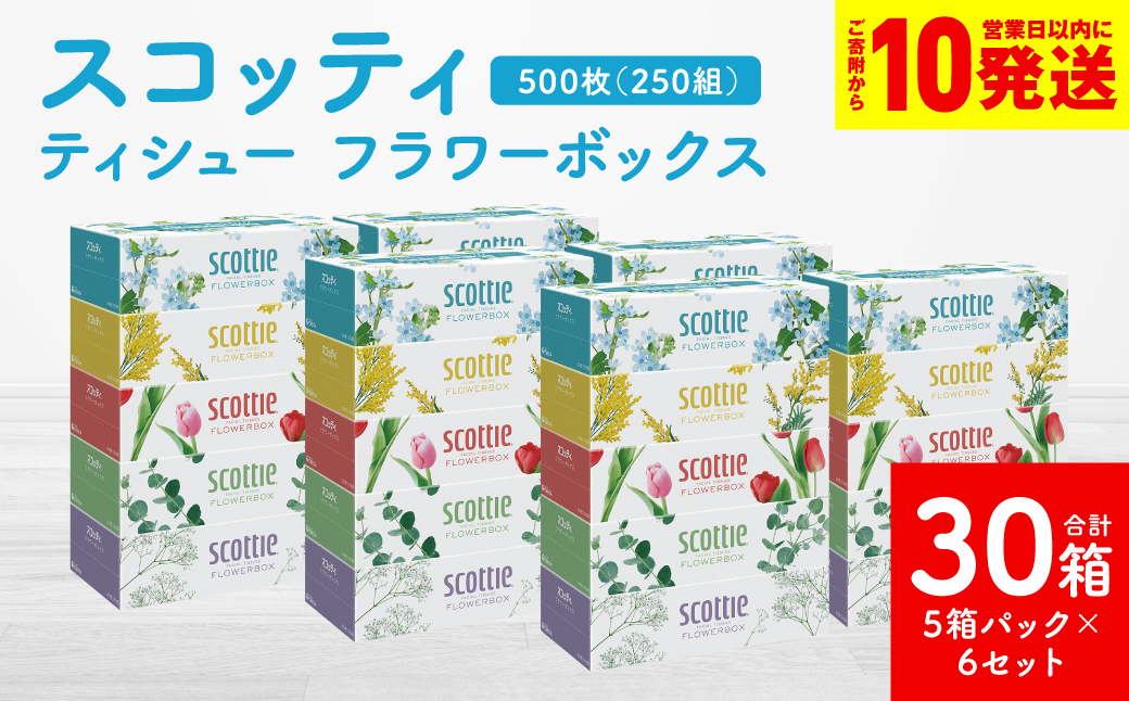 ãã¹ã³ããã£ããã£ã·ã¥ãŒ ãã©ã¯ãŒããã¯ã¹ 250çµ 5ç®±ããã¯Ã6ã»ãã åèš30ç®± ãã£ãã·ã¥ æ¥çšå çæŽ»å¿
éå æ¶èå çŽ ãŸãšãè²·ã åè é²çœåè ãã¶ã€ã³ããã¯ã¹