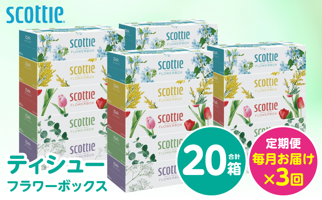 【定期便3回】【毎月お届け】【スコッティ】 ティシュー フラワーボックス 250組 20箱 計60箱 ティッシュ 日用品 生活必需品 消耗品 紙 まとめ買い 備蓄 防災備蓄 デザインボックス ストック 新生活 防災 生活用品 日用消耗品 箱ティッシュ