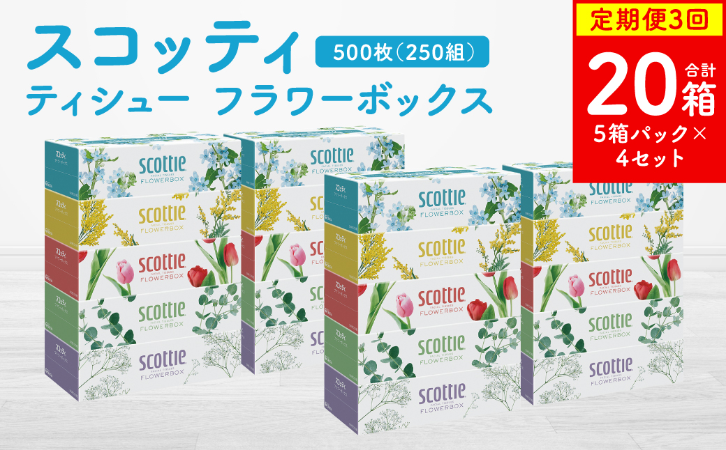 【定期便3回】【毎月お届け】【スコッティ】ティシュー フラワーボックス 250組 5箱パック×4セット 合計20箱 ティッシュ 日用品 生活必需品 消耗品 紙 まとめ買い 備蓄 防災備蓄 デザインボックス