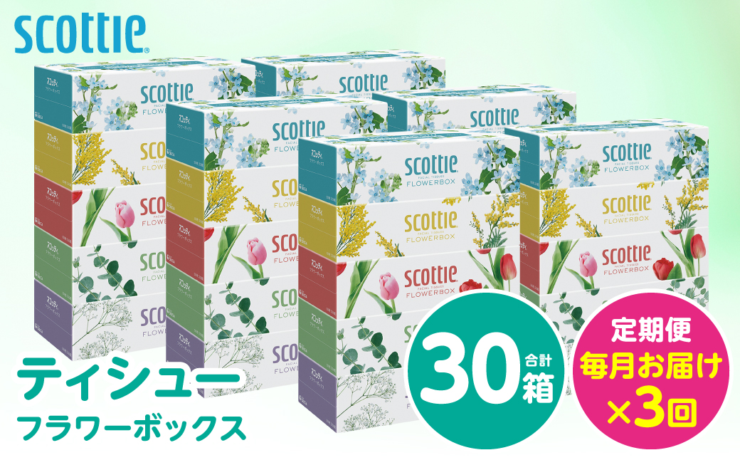 【定期便3回】【毎月お届け】【スコッティ】 ティシュー フラワーボックス 250組 30箱 計90箱 ティッシュ 日用品 生活必需品 ストック 新生活 防災 生活用品 日用消耗品 箱ティッシュ