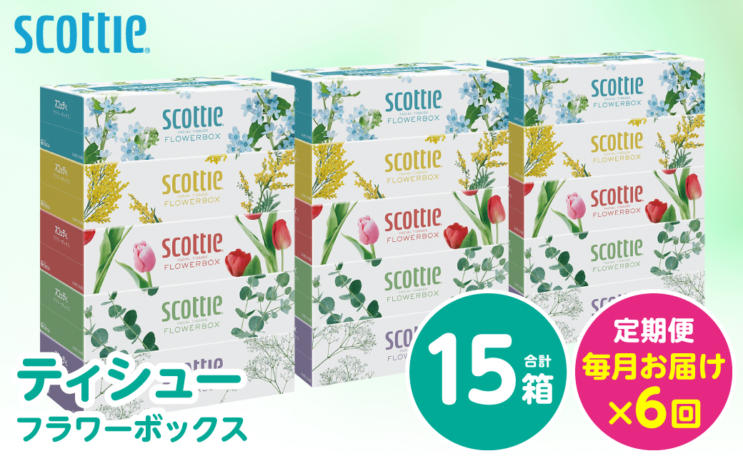【定期便6回】【毎月お届け】【スコッティ】 ティシュー フラワーボックス 250組 15箱 計90箱 ティッシュ 日用品 生活必需品 消耗品 紙 まとめ買い 備蓄 防災備蓄 ストック デザインボックス 新生活 防災 生活用品 日用消耗品 箱ティッシュ