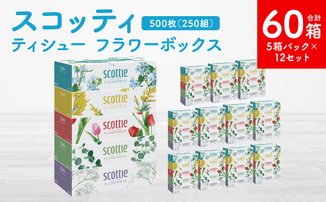 【スコッティ】 ティシュー フラワーボックス 250組 5箱パック×12 合計60箱 ティッシュ 日用品 生活必需品