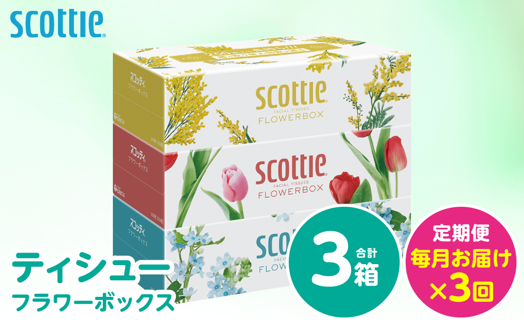 【定期便3回】【毎月お届け】【スコッティ】 ティシュー フラワーボックス 250組 3箱 計9箱 ティッシュ 日用品 生活必需品 消耗品 紙 備蓄 防災備蓄 ストック デザインボックス 新生活 防災 生活用品 日用消耗品 箱ティッシュ 熊本県 八代市