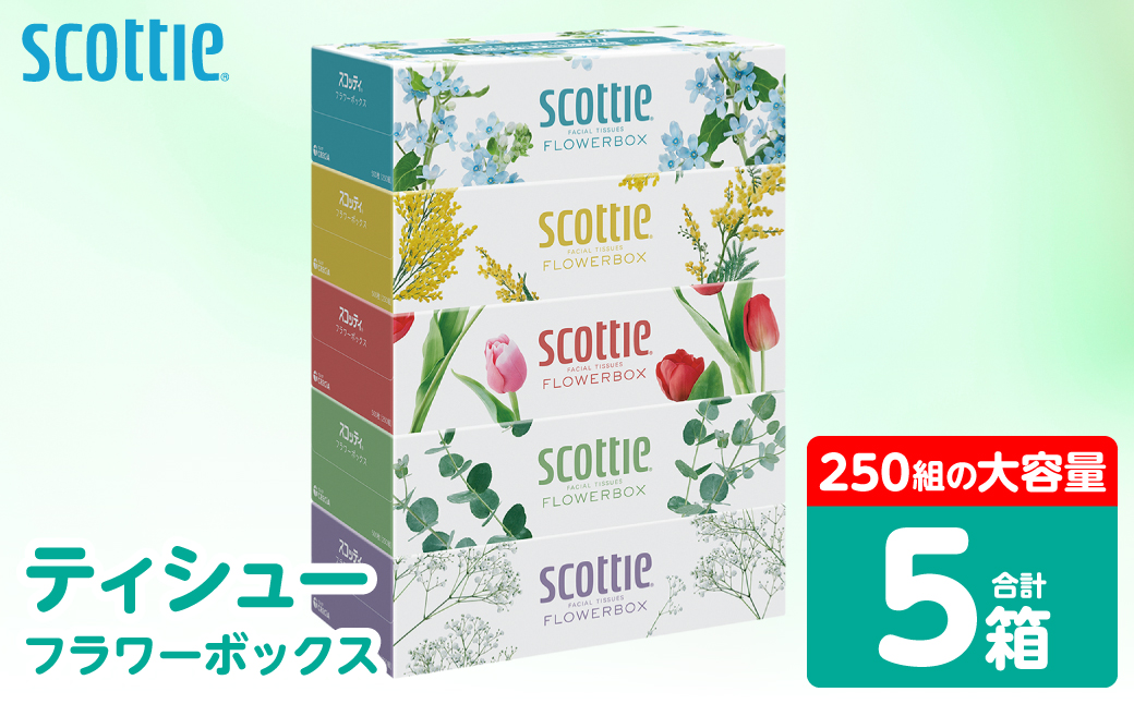 【スコッティ】 ティシュー フラワーボックス 250組 5箱 ティッシュ 日用品 生活必需品 防災備蓄 ストック 備蓄 新生活 防災 消耗品 生活用品 日用消耗品 箱ティッシュ