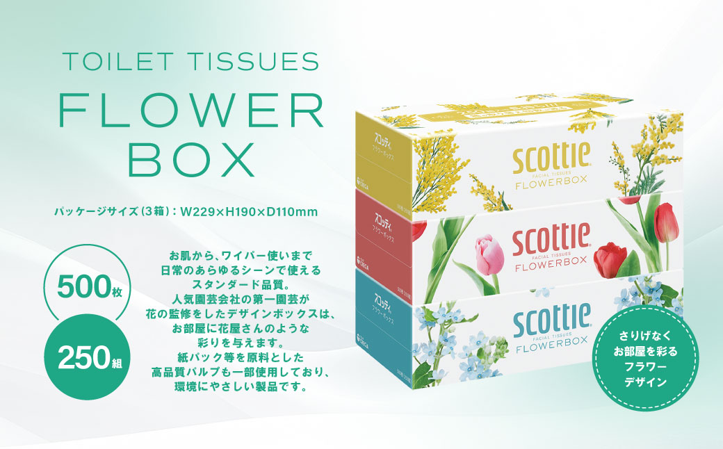 【スコッティ】 ティシュー フラワーボックス 250組 3箱パック×18 合計54箱 ティッシュ 日用品 生活必需品