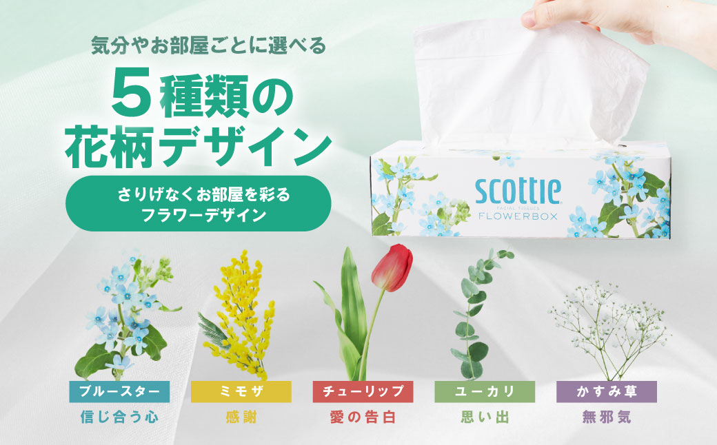 ãã¹ã³ããã£ããã£ã·ã¥ãŒ ãã©ã¯ãŒããã¯ã¹ 250çµ 5ç®±ããã¯Ã6ã»ãã åèš30ç®± ãã£ãã·ã¥ æ¥çšå çæŽ»å¿
éå æ¶èå çŽ ãŸãšãè²·ã åè é²çœåè ãã¶ã€ã³ããã¯ã¹