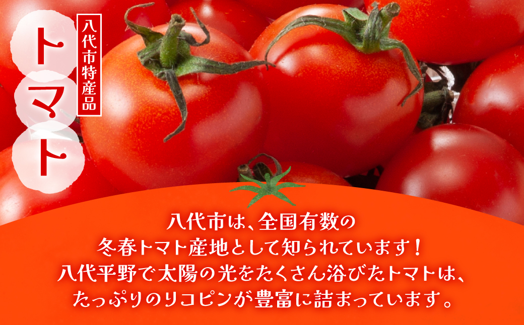 熊本県 八代市産 晩白柚 ペースト「マキシト」& 晩白柚 ゼリー「マキシトゼリー」& トマト ピューレ「リコプレン」八代 満喫 セット