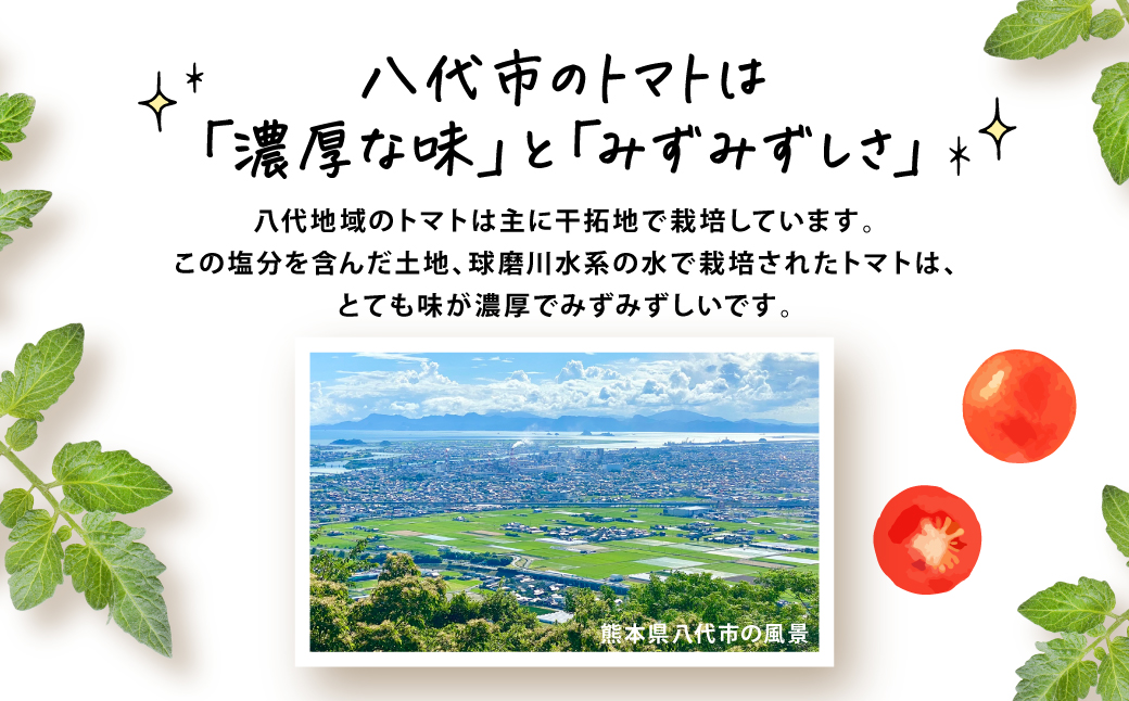 モスバーガー厳選 規格外トマトのスパイシーチキンカレー レトルト 食品 熊本県 八代市 コラボ