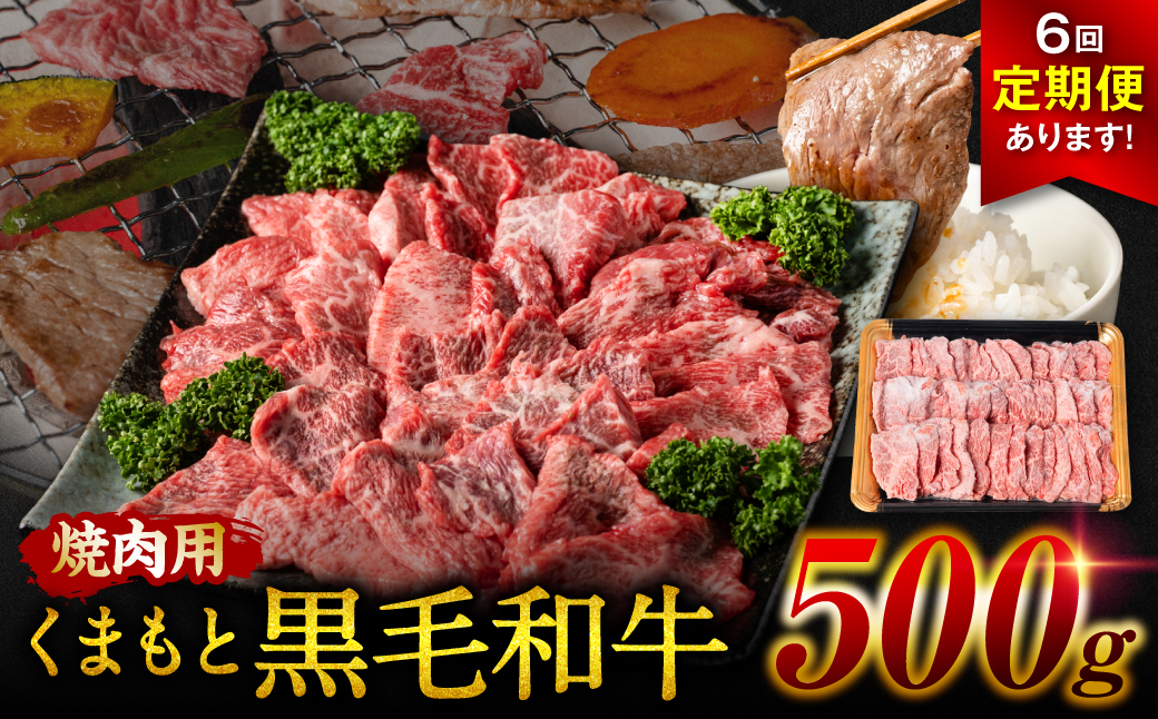 【定期便6回】くまもと黒毛和牛 焼肉用 500g ×6回 牛肉 やきにく