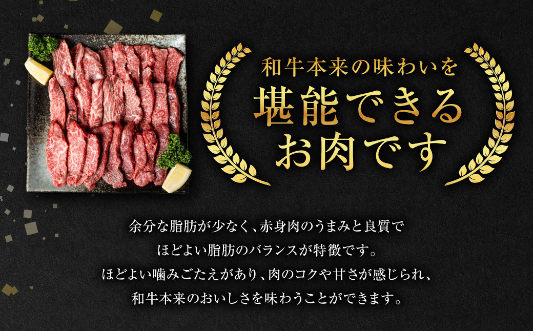 【GI認証】 くまもとあか牛 焼肉用 500g お肉 牛 焼肉 BBQ 赤身 バーベキュー 和牛 牛肉 和牛 褐毛和牛 国産 国産和牛 冷凍 