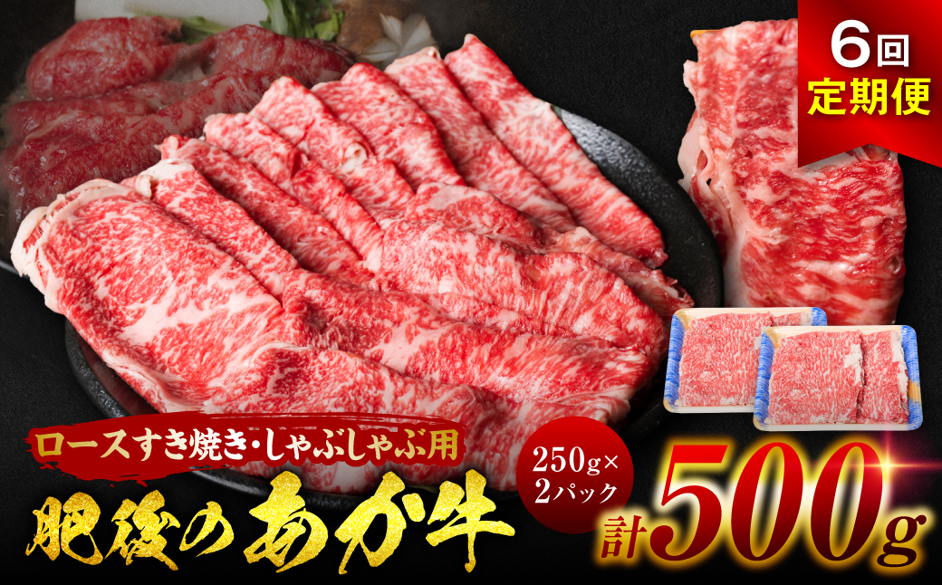 【定期便6回】肥後のあか牛 ロースすきやき しゃぶしゃぶ 500g(250g×2) 