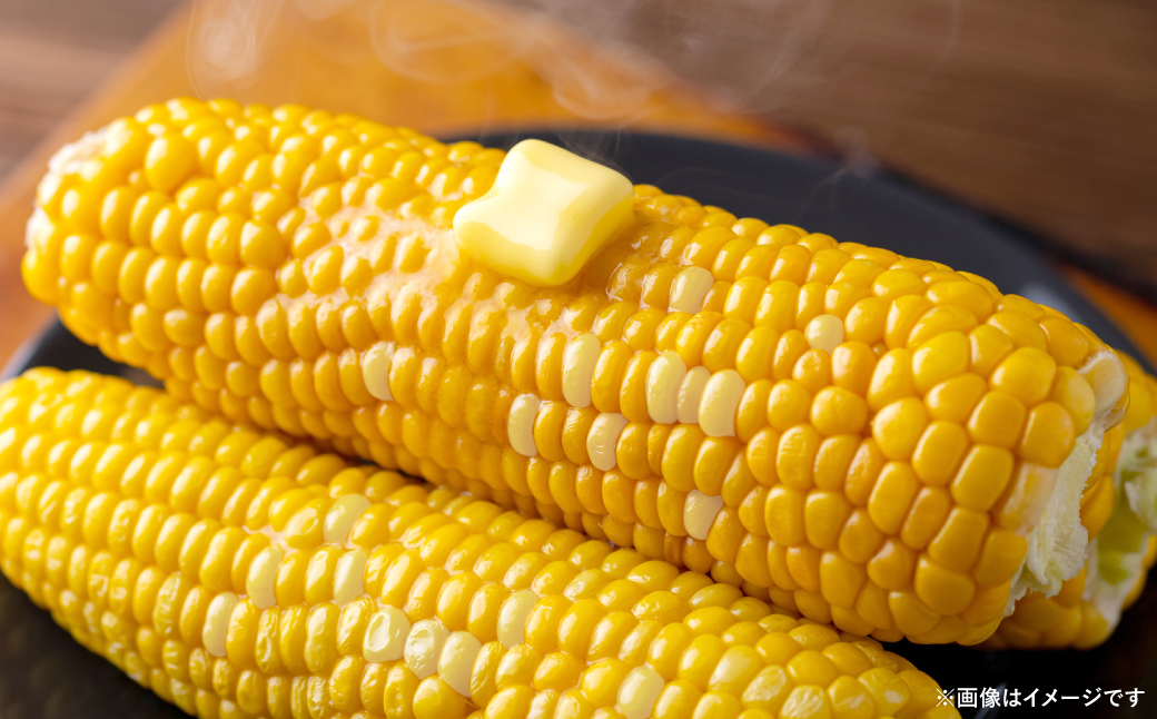 【先行予約】 スイートコーン5kg(11本～13本) ドルチェドリーム とうもろこし コーン 野菜 やさい 新鮮 冷蔵 BBQ おつまみ 【2026年5月中旬より順次発送】