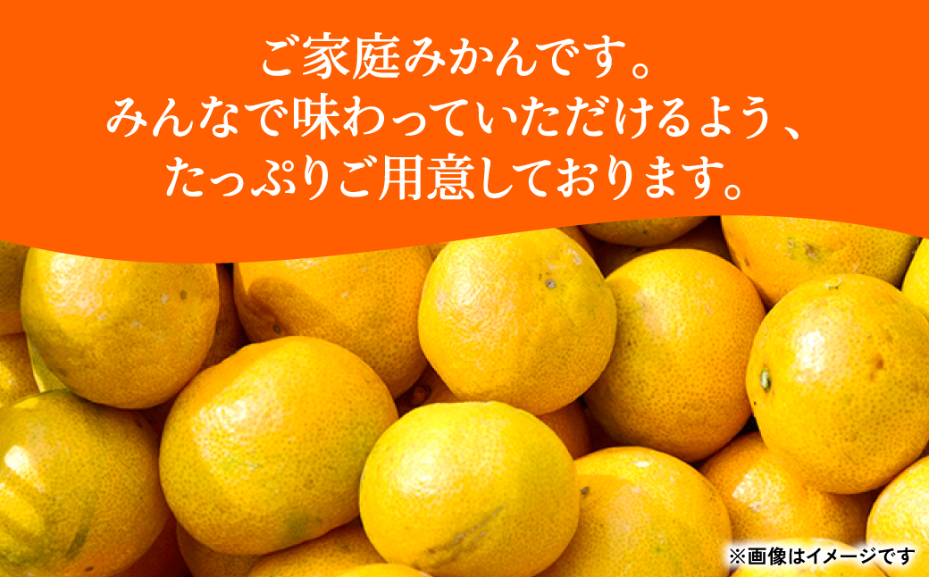 【訳あり】熊本県産 みかん サイズミックス 約5kg