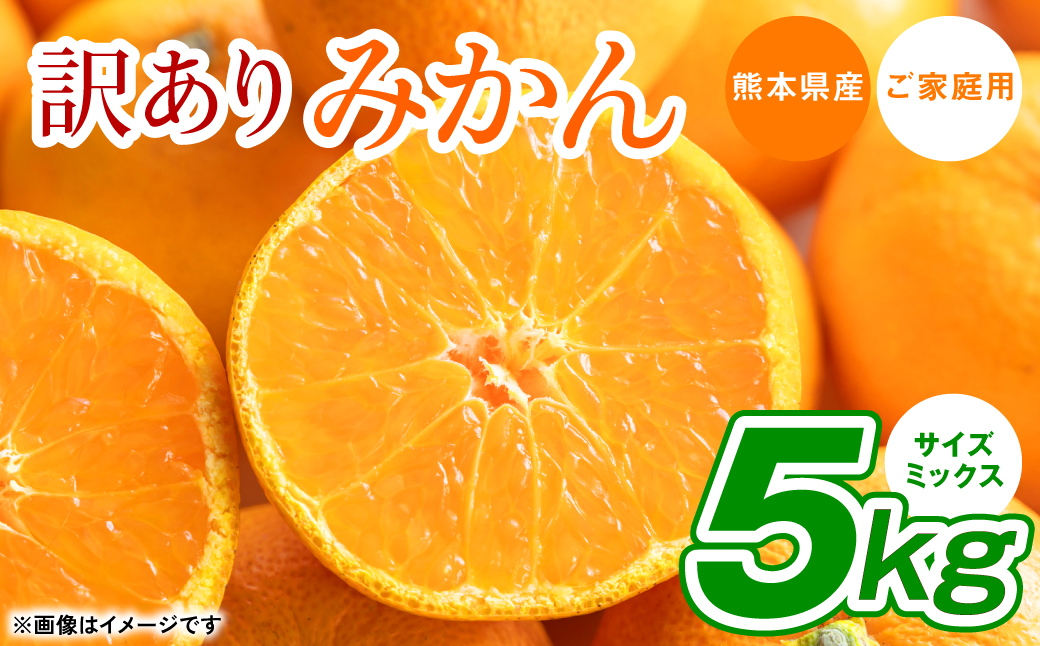 【訳あり】熊本県産 みかん サイズミックス 約5kg