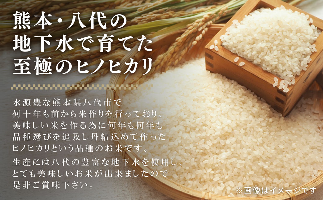 【令和6年産】熊本県八代市産米 ヒノヒカリ 3kg