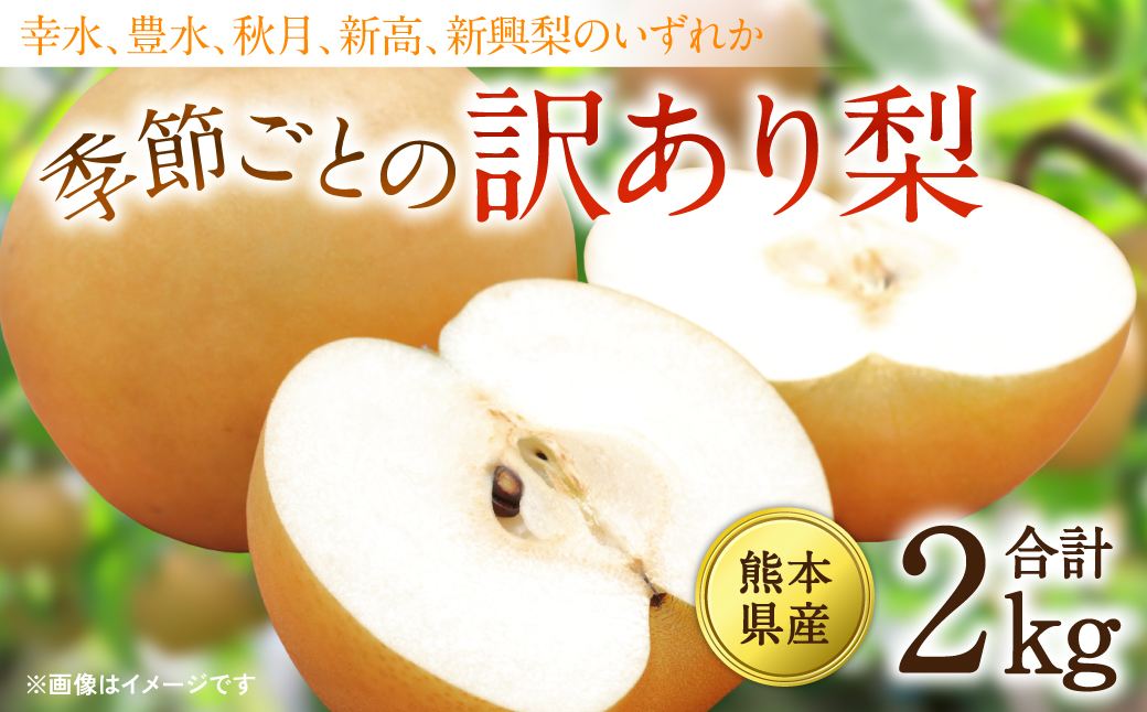 【先行予約】【2025年8月上旬より順次発送】熊本県産 季節ごとの訳あり梨 合計2kg　ナシ 幸水 豊水 秋月 新高 神興梨 果物 くだもの フルーツ